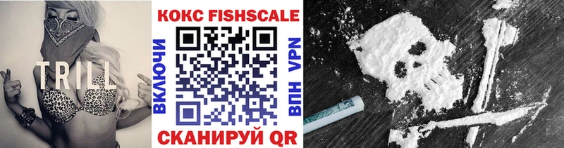 Cocaine FishScale  Менделеевск 