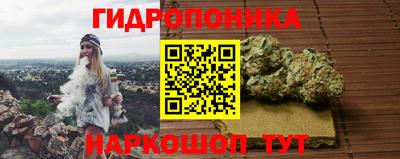 сатива Усть-Илимск