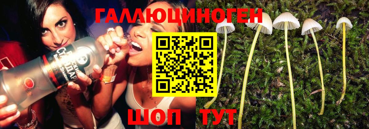 Галлюциногенные грибы Cubensis Менделеевск