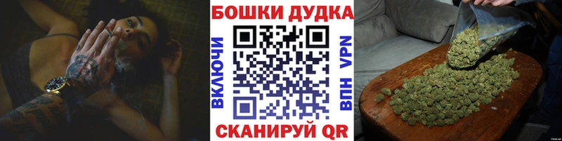 Каннабис OG Kush  Менделеевск 