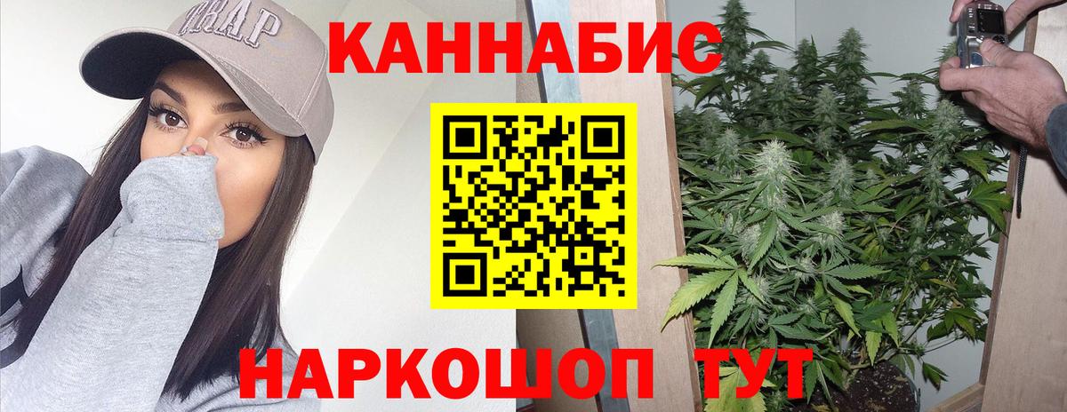 МАРИХУАНА планчик Менделеевск